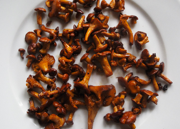 the Swedish Chef: Chanterelles